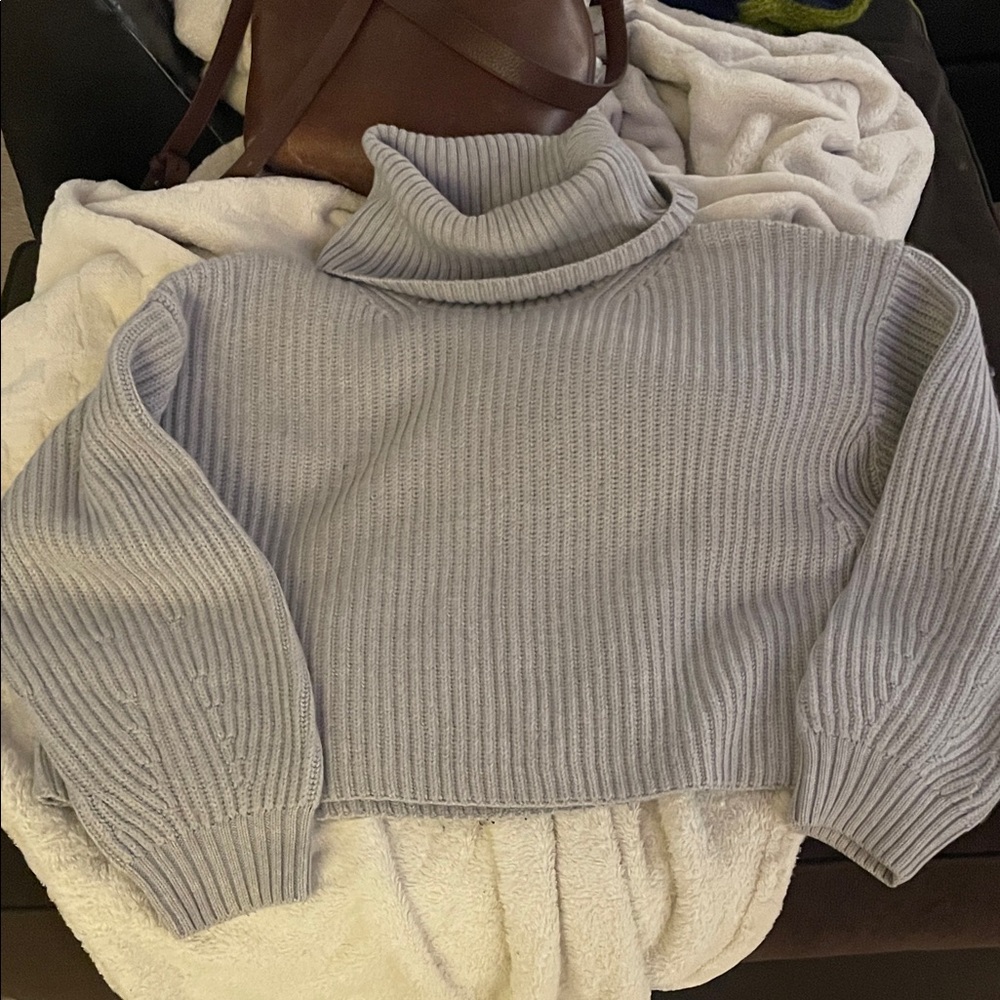 Aritzia Sweater